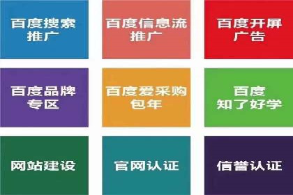 案例解读：SEM托管助力品牌提升